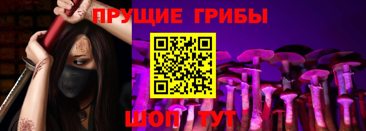 купить наркотик  Галлюциногенные грибы Psilocybine cubensis  Вход с VPN  Георгиевск 