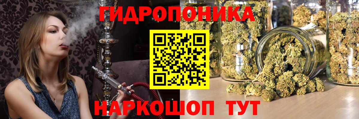 Шишки марихуана марихуана  Марихуана планчик  Георгиевск  Вход с VPN  Бошки Шишки AK-47 